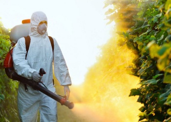 Обработка от клещей