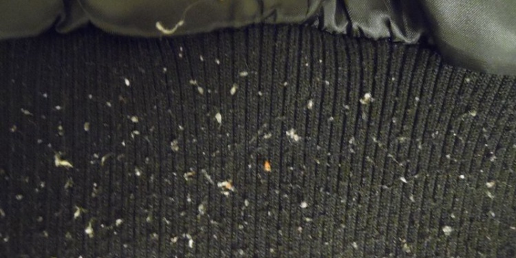 Победить пилинг