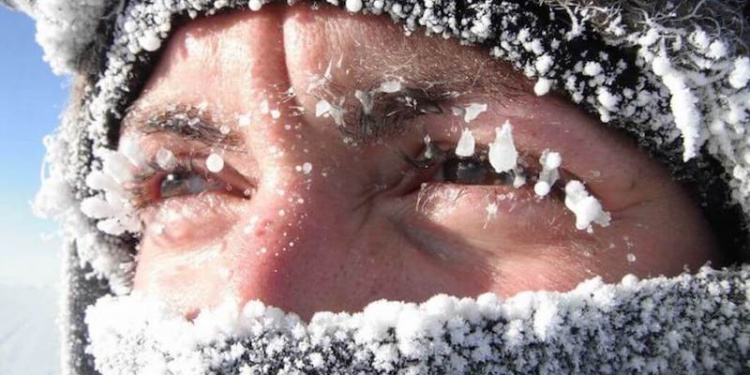 Stokoderm frost эффективный зимний крем