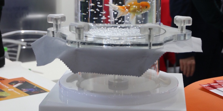 Золотая рыбка Текстайм БИОТ