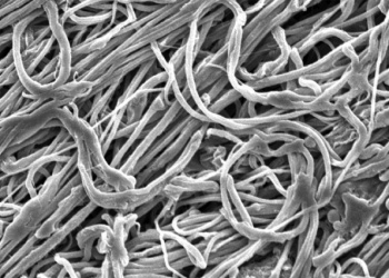 В США создали «новый кевлар»