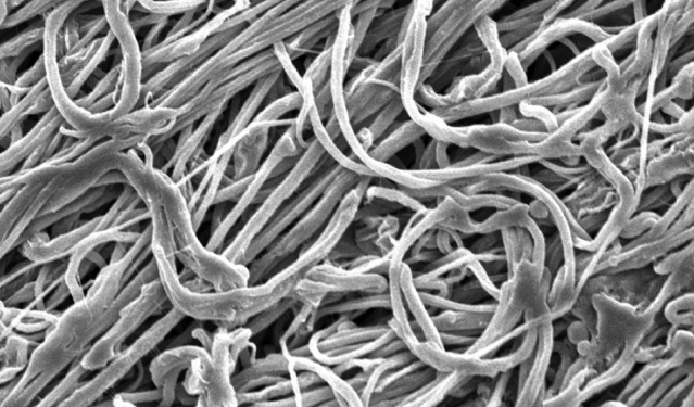 В США создали «новый кевлар»