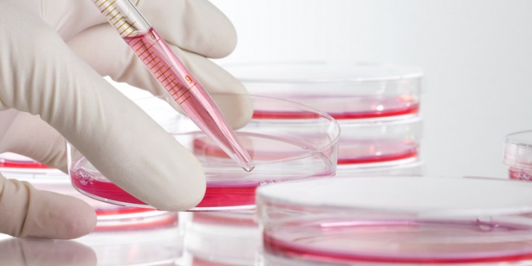 Дерматологические СИЗ не должны вызывать алергию