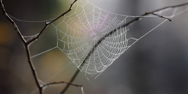 Синтетический шелк