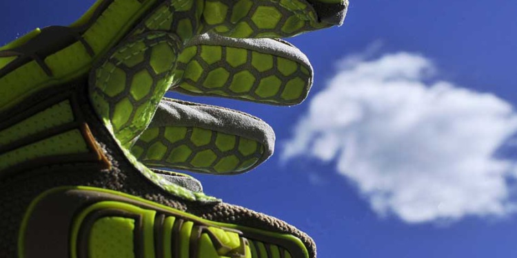 HexArmor RigLizard 2030