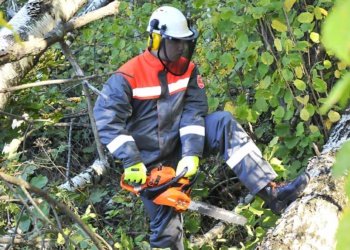 Лесоруб-2 от пореза пилой