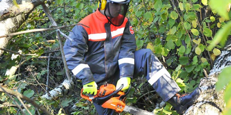 Лесоруб-2 от пореза пилой