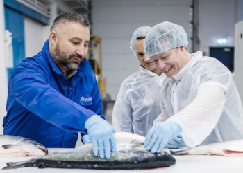 Норвежская Granberg выпустила перчатки-вкладыш от порезов для рыбопереработки