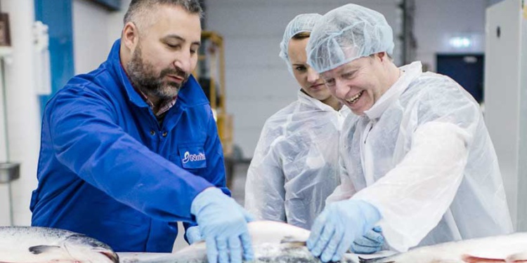 Норвежская Granberg выпустила перчатки-вкладыш от порезов для рыбопереработки