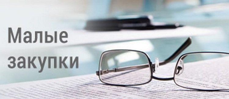 единый портал госзакупок малого объема