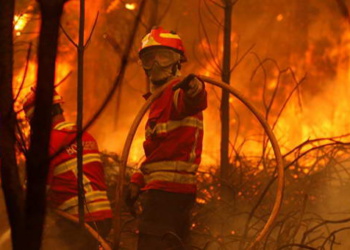 противопожарный тренинг в Португалии