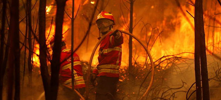 противопожарный тренинг в Португалии