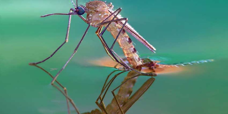 репелленты для защиты рабочих