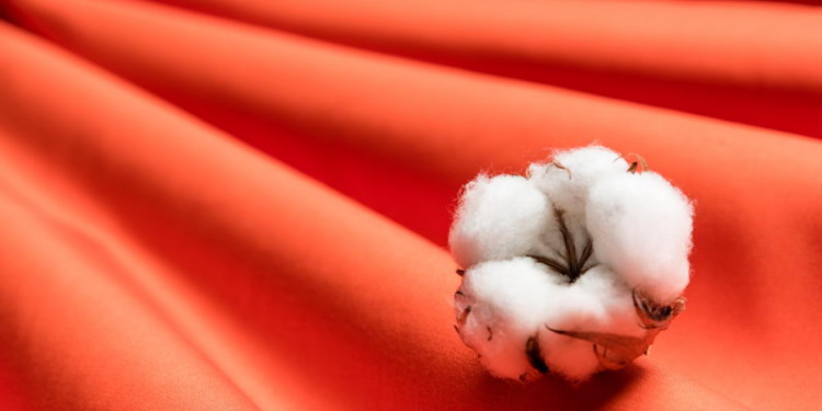 Экологичные ткани от Клопман – вклад в защиту окружающей среды