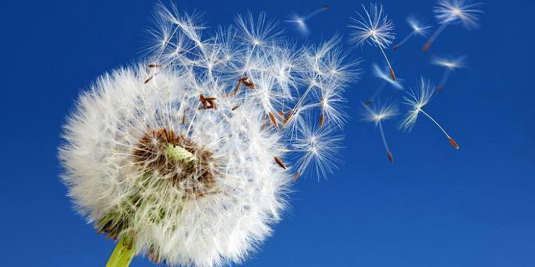 Ветер перемен А+А: новые модели СИЗ головы