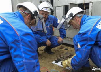 «Оборонэнерго» объявило конкурс на поставку СИЗ на 200 млн руб.