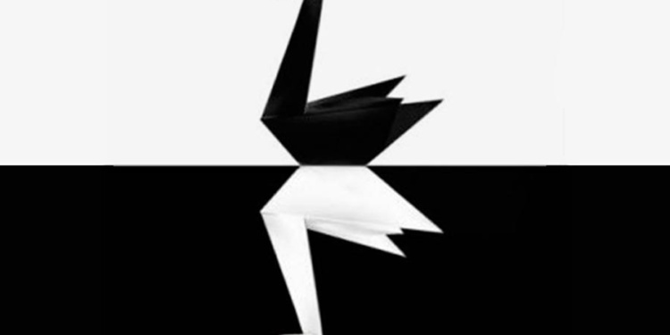 «Черный лебедь» COVID-19