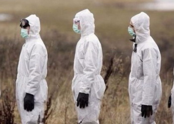 Есть ли альтернатива знаменитому комбинезону Tyvek® на российском рынке СИЗ?