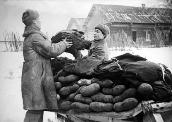 Готовы ли мы к глобальным катастрофам?