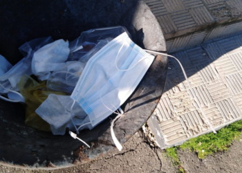 Средства защиты: влияют ли они на экологию?