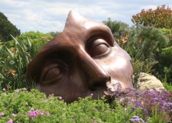 Экс-главу иркутского Минздрава задержали