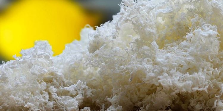 Новинки материаловедения