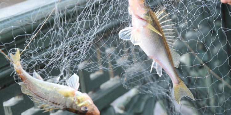 CИЗ и экономика замкнутого цикла