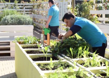 Univet: дело, которое вдохновляет