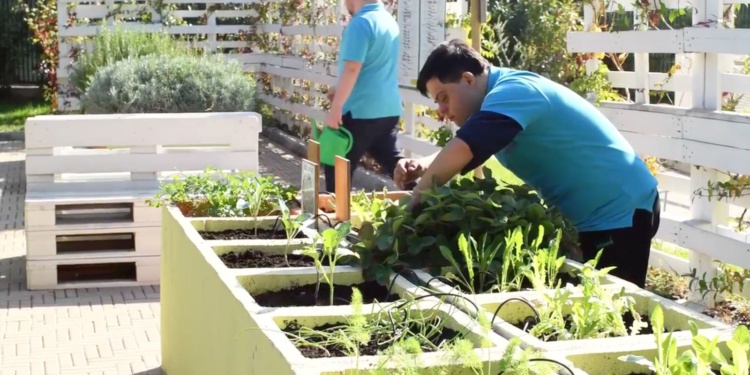 Univet: дело, которое вдохновляет