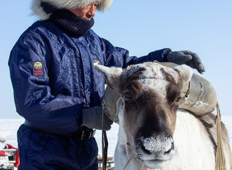 Якутская спецодежда с оленьей шерстью получила награду за инновационность