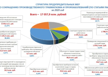 Затраты на закупку СИЗ из средств ФСС в 2020 году