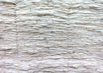 ASTM разрабатывает новый стандарт на хлопковое волокно