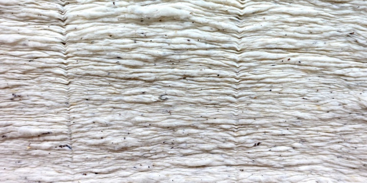 ASTM разрабатывает новый стандарт на хлопковое волокно