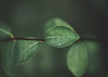 В России появился первый экологический стандарт для текстиля