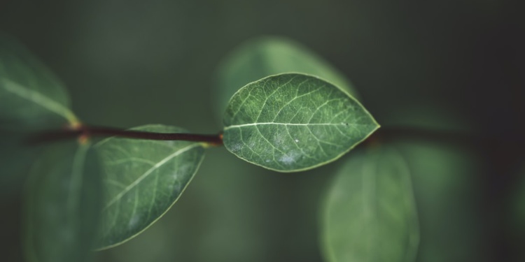 В России появился первый экологический стандарт для текстиля