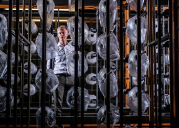 Уникальная технология повышает прочность переработанных тканей