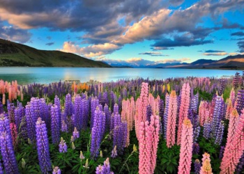 Зеленые технологии переработки текстильных волокон