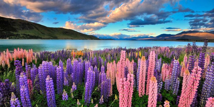 Зеленые технологии переработки текстильных волокон