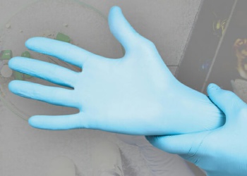США запретили Ansell импортировать одноразовые перчатки из Малайзии 