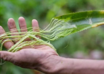 Инновационные материалы: что нас ждет?