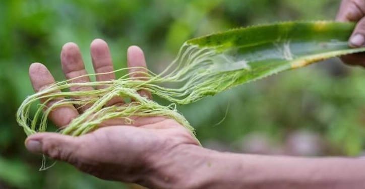 Инновационные материалы: что нас ждет?