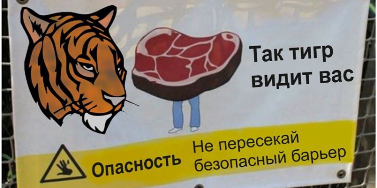 Защитно-улавливающие системы