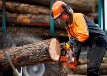 СИЗ лесоруба: ориентиры