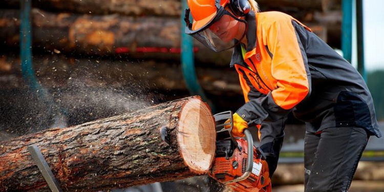 СИЗ лесоруба: ориентиры