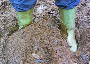 Защитные сапоги: если не резиновые, то...