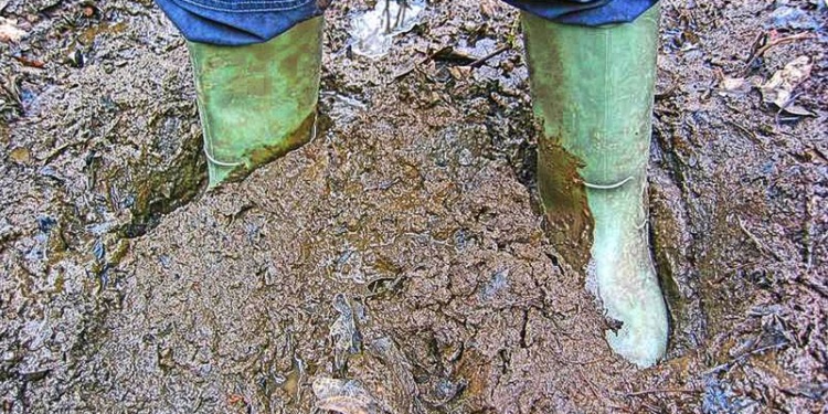 Защитные сапоги: если не резиновые, то...