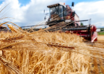 Спецодежда белорусских комбайнеров