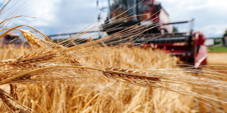 Спецодежда белорусских комбайнеров