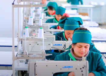 За год в России появилось 7,5 тыс. компаний легпрома