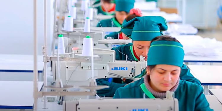 За год в России появилось 7,5 тыс. компаний легпрома